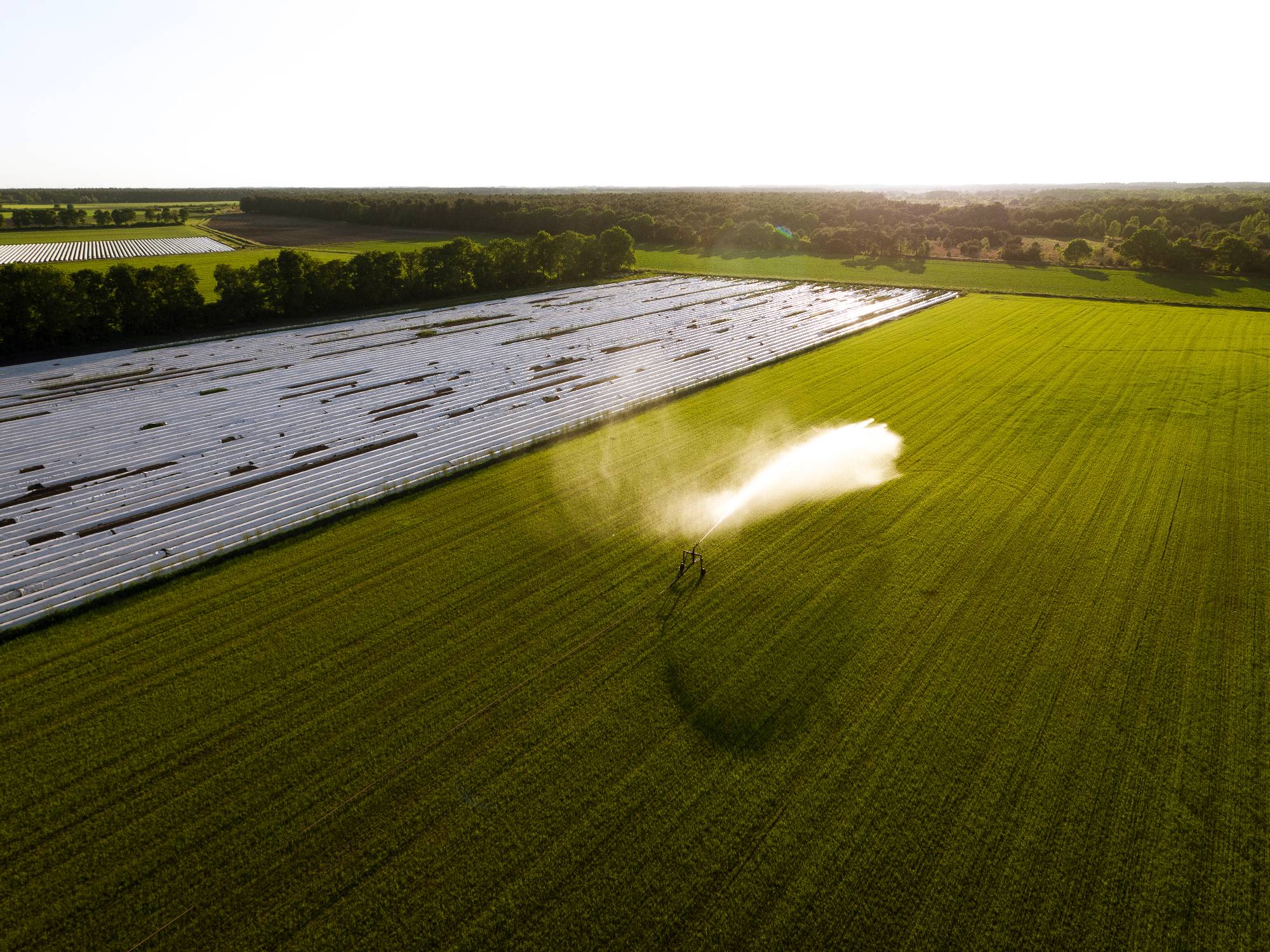 Luchtfoto met drone